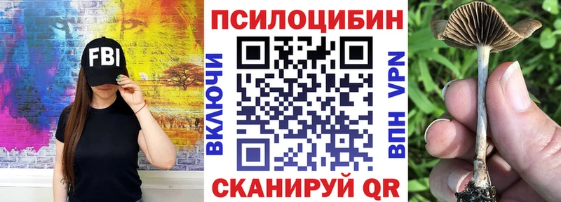 Псилоцибиновые грибы мицелий  мориарти телеграм  Нарьян-Мар 